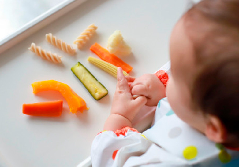 bebé consumiendo por sí mismo alimentos sólidos cortados de forma alargada